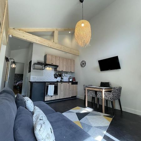 Ginkobiloba : Appartement Cosy En Coeur De Ville Bagnères-de-Bigorre Esterno foto