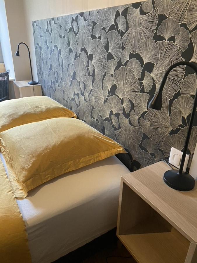 Ginkobiloba : Appartement Cosy En Coeur De Ville Bagnères-de-Bigorre Esterno foto