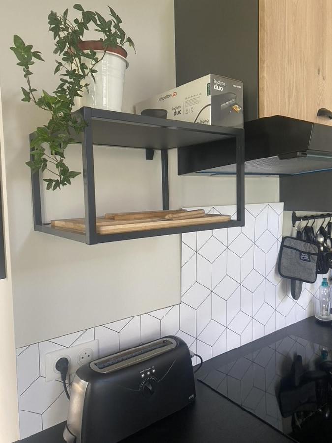 Ginkobiloba : Appartement Cosy En Coeur De Ville Bagnères-de-Bigorre Esterno foto